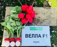 Редис Велла F1